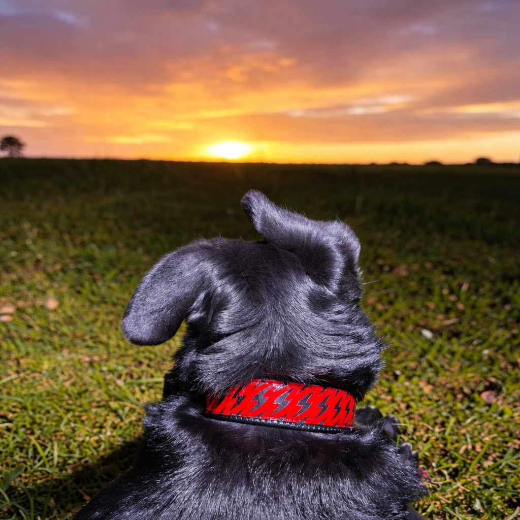GLO-TEX Villám Fényvisszaverő Nyakörv